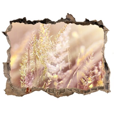 Samoprzylepna dziura naklejka Kwiatowa łąka za ścianą