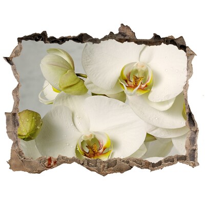 Samoprzylepna dziura naklejka Biała orchidea