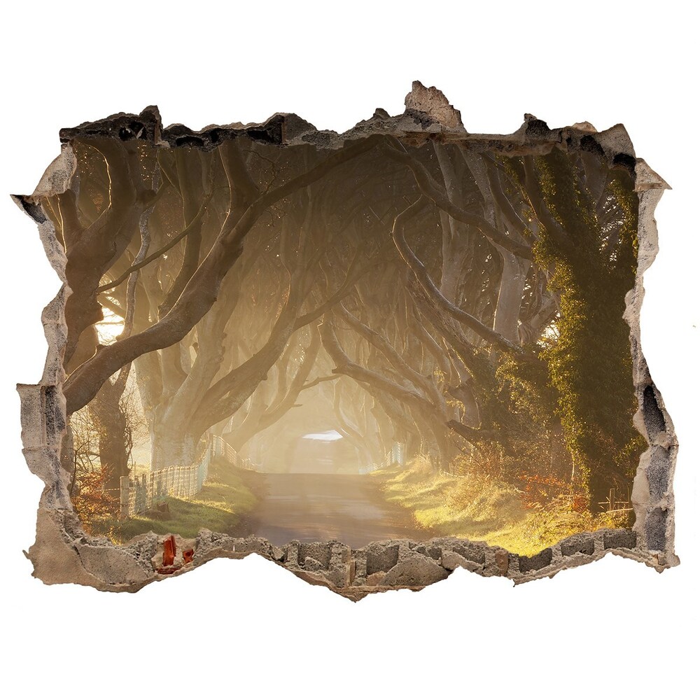 naklejka fototapeta 3D widok Mgła w lesie