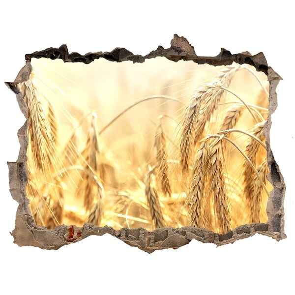 Samoprzylepna dziura na ścianę naklejka Złote pola pszenicy