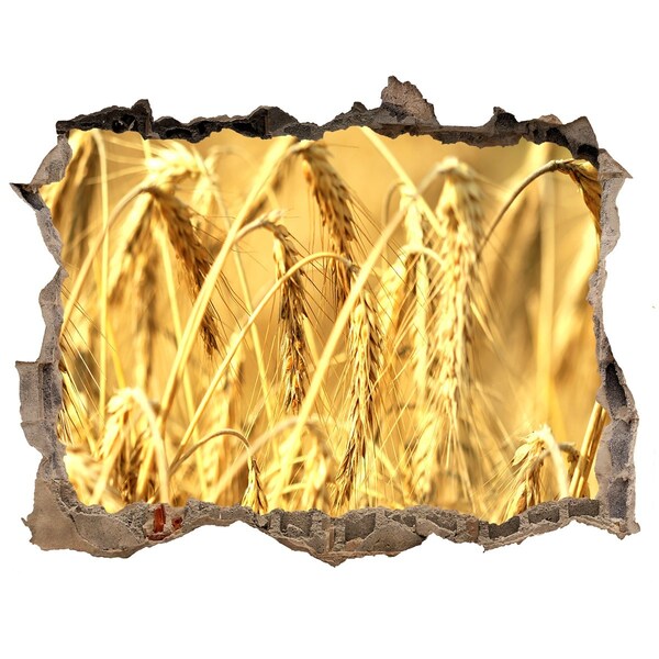 Samoprzylepna dziura na ścianę naklejka Złote zboża w promieniach słońca