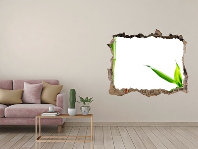 Samoprzylepna dziura na ścianę naklejka Bambus
