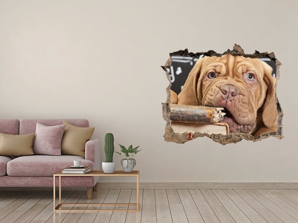 Dziura 3d fototapeta Słodki szczeniak wśród książek