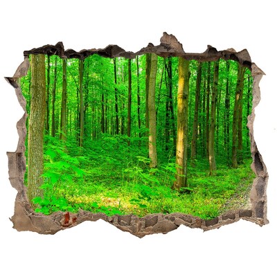 Samoprzylepna dziura naklejka Drzewa w lesie