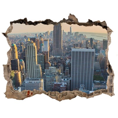 Fototapeta dziura na ścianę 3d Manhattan Nowy Jork