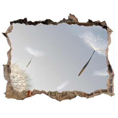 Fototapeta dziura na ścianę Dmuchawce w chmurach