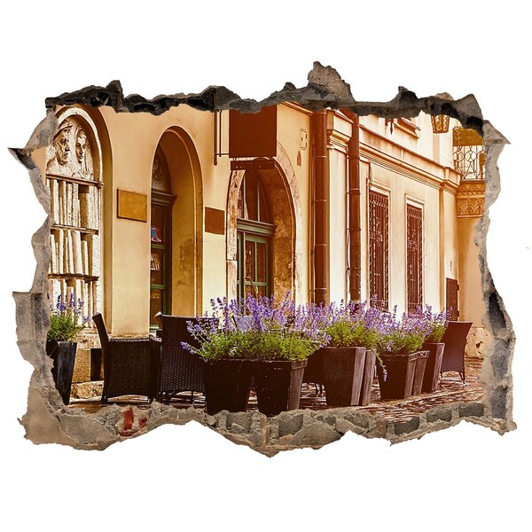 Fototapeta dziura na ścianę 3d Urokliwy kącik z lawendą