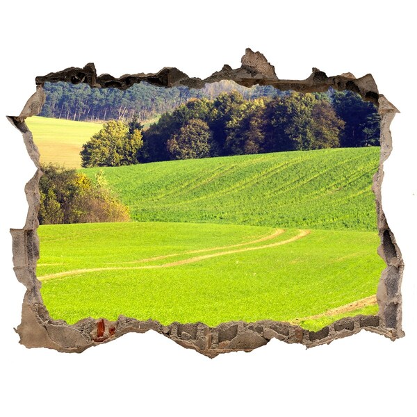 naklejka fototapeta 3D widok Zielona łąka za murem