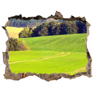 naklejka fototapeta 3D widok Zielona łąka za murem