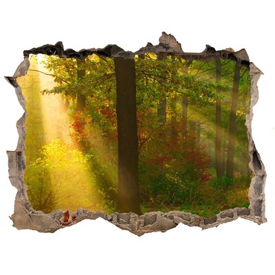 naklejka fototapeta 3D widok Las w słońcu