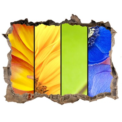 Samoprzylepna dziura naklejka Kwiatowy świat za ścianą