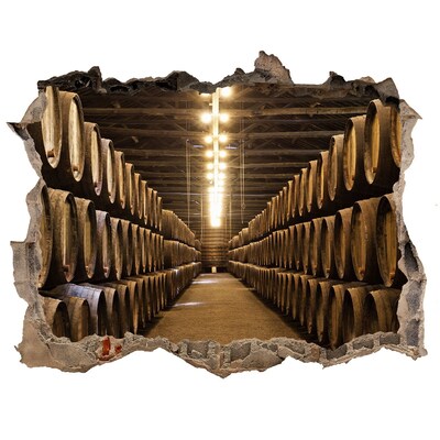 Fototapeta dziura na ścianę 3d Winiarnia w Porto