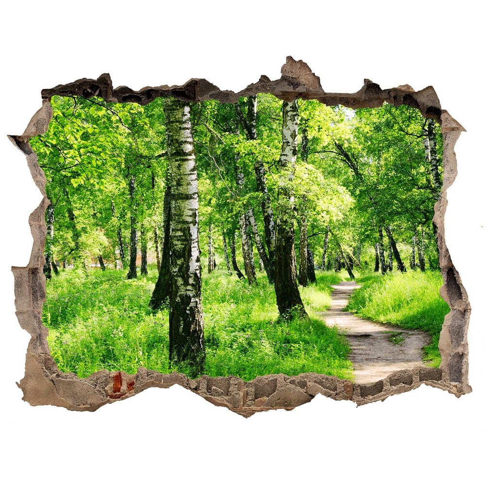 naklejka fototapeta 3D widok Brzozowy las