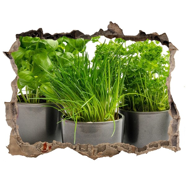 Samoprzylepna naklejka Zielony ogród w doniczkach