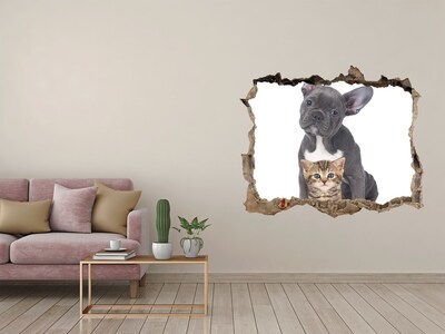 Dziura 3d fototapeta na ścianę Pies i kot