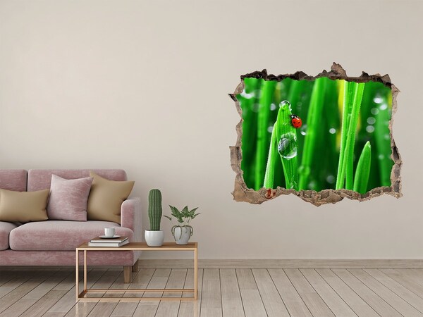 Samoprzylepna dziura Kropla rosy na trawie z biedronką