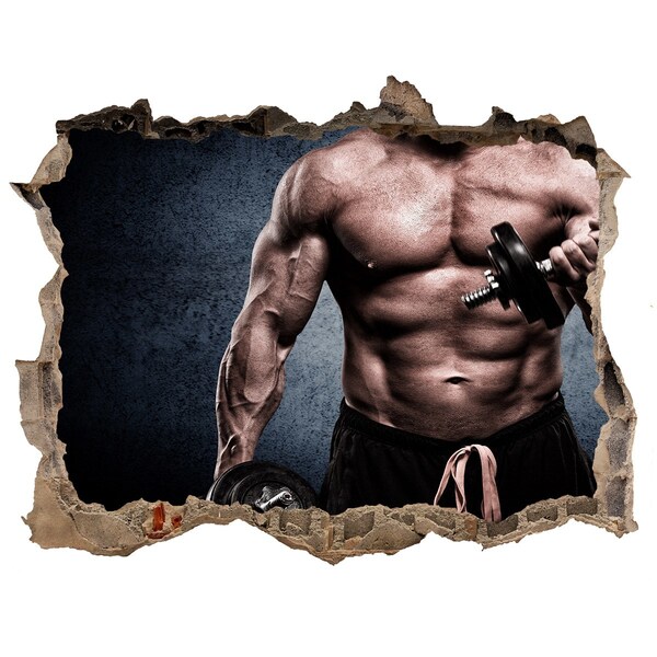 Foto zdjęcie dziura na ścianę Siłownik w akcji