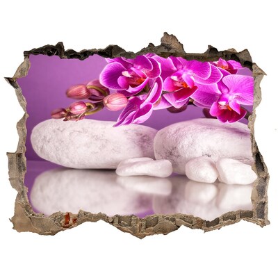 Samoprzylepna dziura naklejka Orchidea na tle kamieni