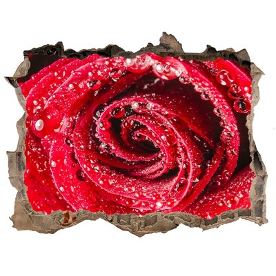 Samoprzylepna dziura Róża z kroplami wody