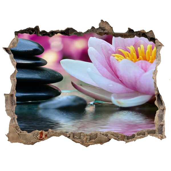 Samoprzylepna dziura naklejka Kwiaty i kamienie w zenowym ogrodzie