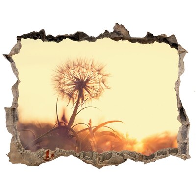 Samoprzylepna dziura na ścianę Kwiat w promieniach słońca