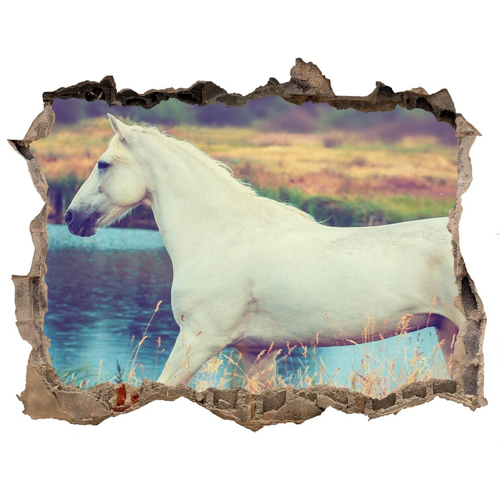 Dziura 3d fototapeta naklejka Biały koń jezioro
