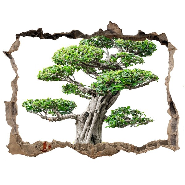 Samoprzylepna dziura na ścianę Drzewo bonsai