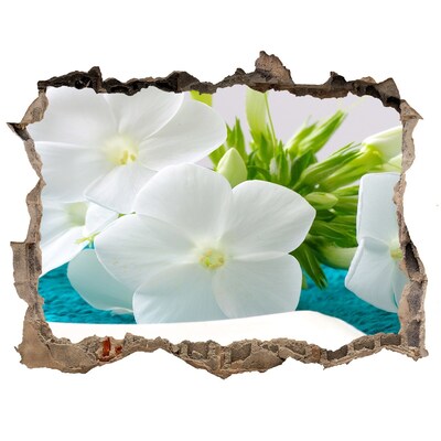 Fototapeta dziura na ścianę Białe kwiaty spa