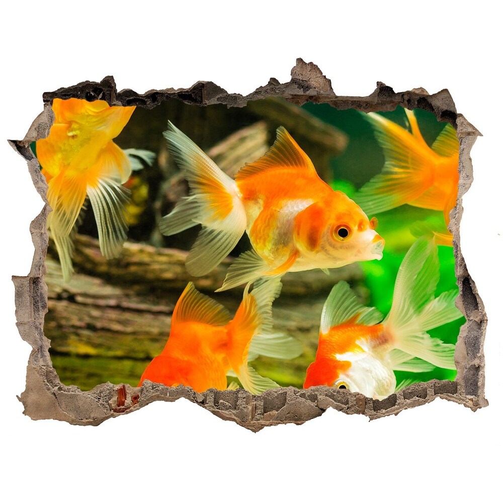 Dziura 3d foto tapeta naklejka Złote rybki