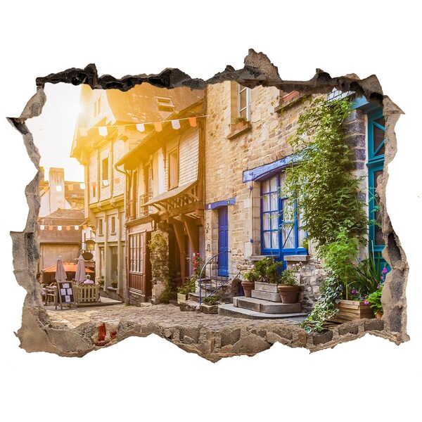 Fototapeta dziura na ścianę 3d Urokliwa uliczka