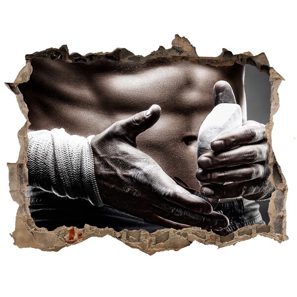 Foto zdjęcie dziura na ścianę Mistrz sportów walki