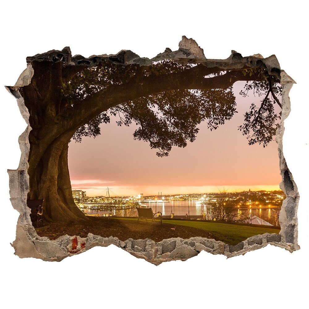 naklejka fototapeta 3D na ścianę Stare drzewo