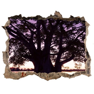 Samoprzylepna dziura na ścianę Zachód słońca za drzewem