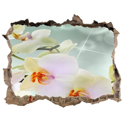 Samoprzylepna dziura naklejka Biała orchidea