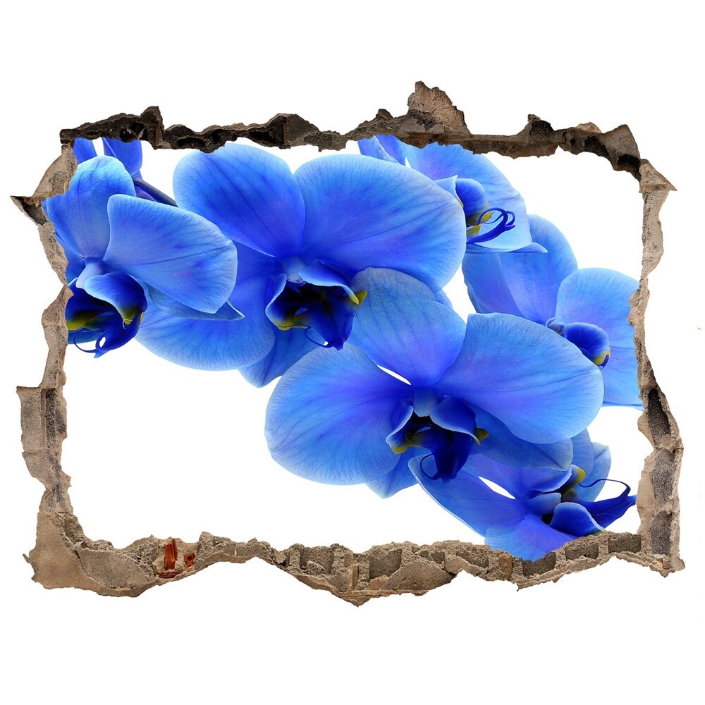 Samoprzylepna dziura naklejka Niebieska orchidea