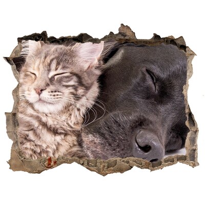Dziura 3d foto tapeta naklejka Pies z kotem