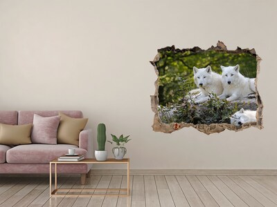 Fototapeta dziura na ścianę Arctic Wolves in a Natural Habitat
