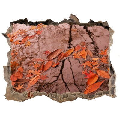 Fototapeta dziura na ścianę 3d Jesienna tafla wody