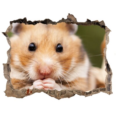 Fotoobraz dziura na ścianę naklejka Hamster w przezroczystym otworze w ścianie