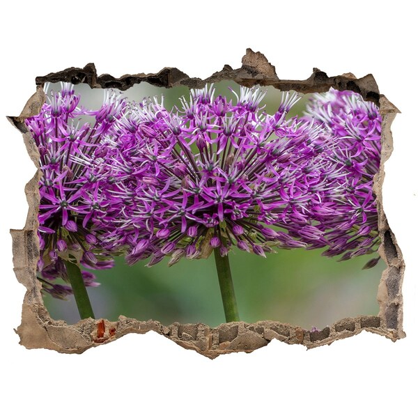 Samoprzylepna dziura na ścianę Kwiaty w rozkwicie