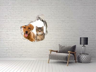 Dziura 3d fototapeta na ścianę Pies i kot