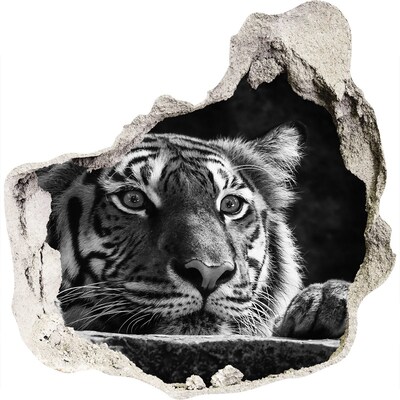 Dziura 3d fototapeta naklejka Tygrys