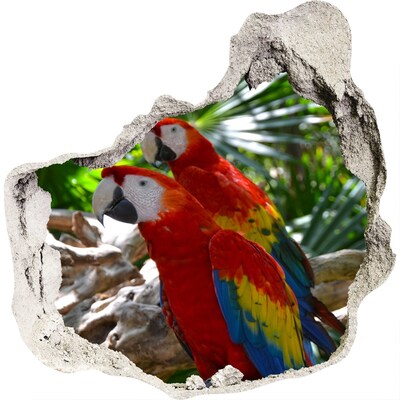 Dziura 3d fototapeta naklejka Papugi Ary