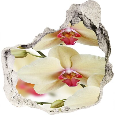 Fototapeta naklejka na ścianę Orchidea