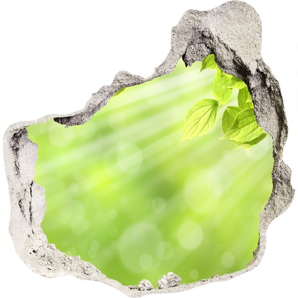 Samoprzylepna naklejka fototapeta Zielony raj za ścianą