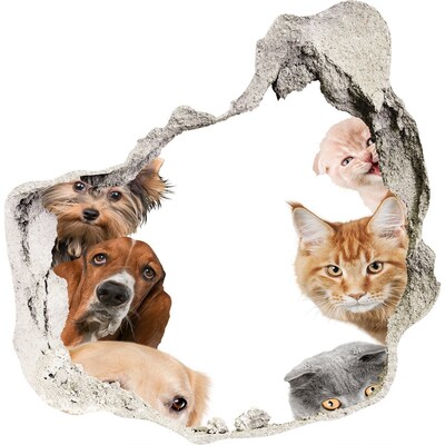 Dziura 3d fototapeta na ścianę Psy i koty