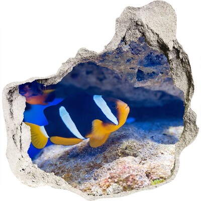 Dziura 3d fototapeta naklejka Tropikalna ryba