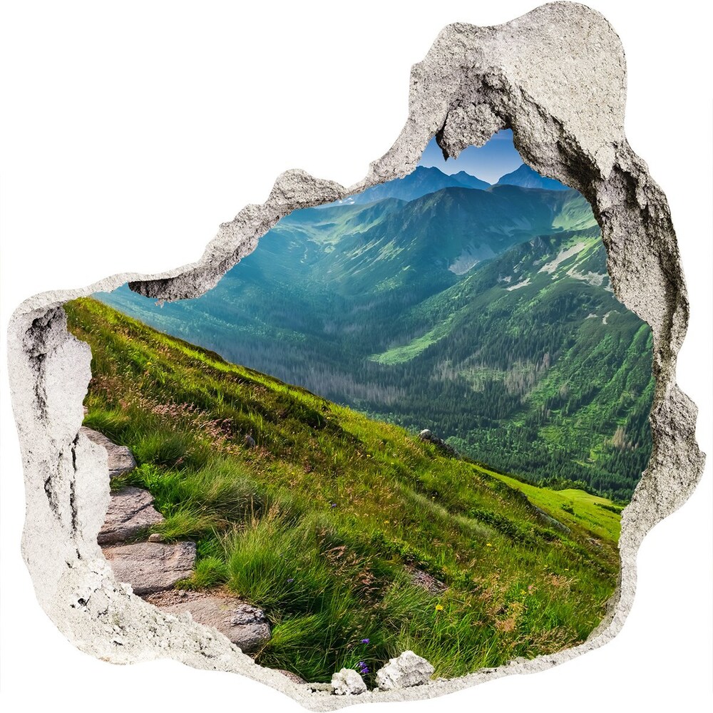 Dziura 3d w ścianie naklejka Ścieżka w Tatrach
