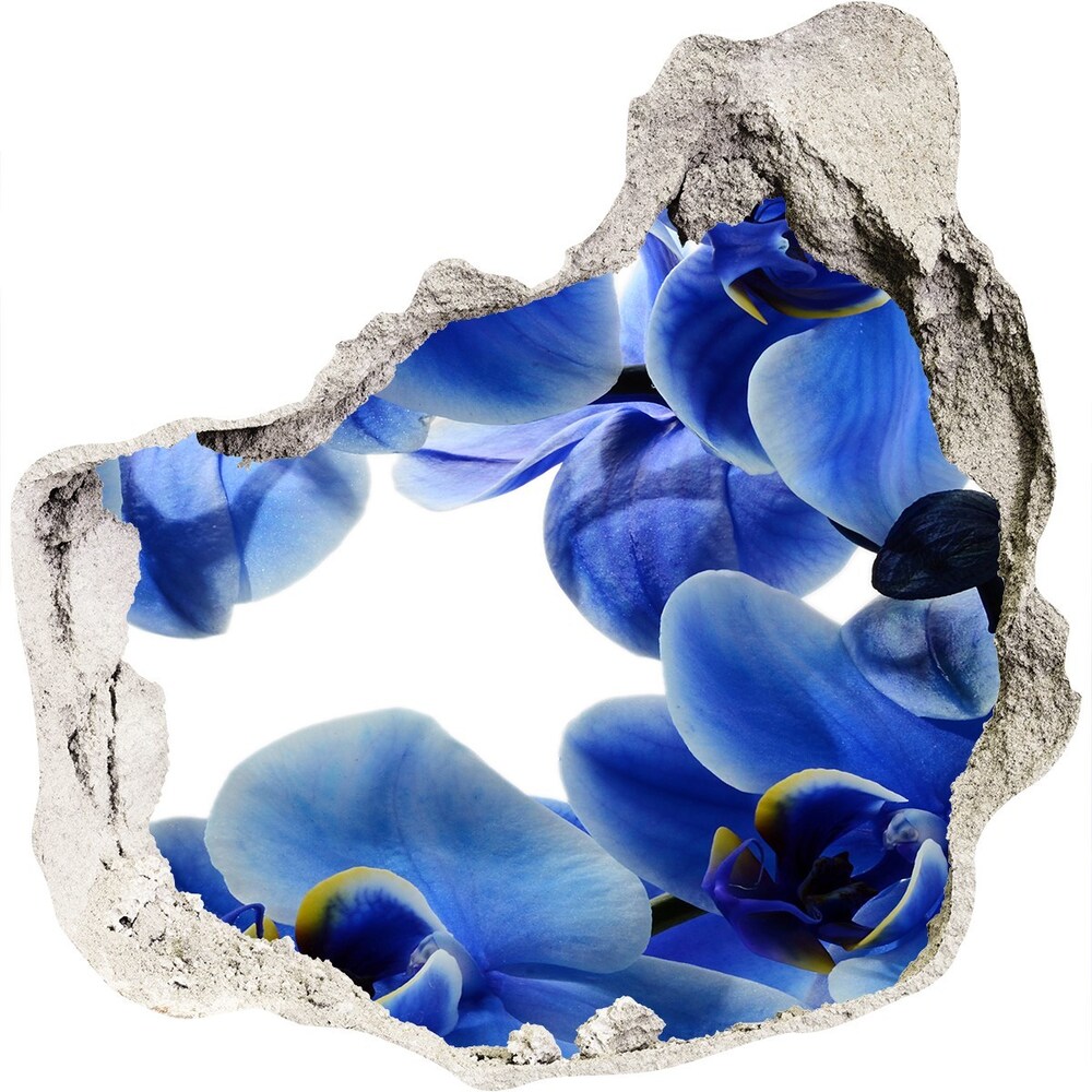 Fototapeta naklejka na ścianę Niebieska orchidea