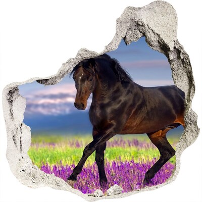 Fototapeta dziura na ścianę Koń na polu lawendy